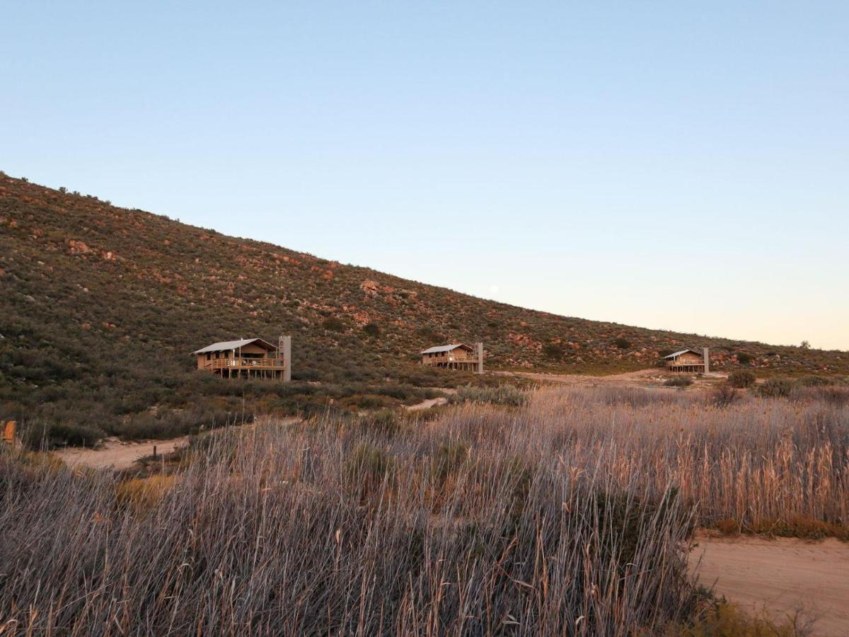 Africamps At Karoo 1 Villa De Doorns Exterior foto